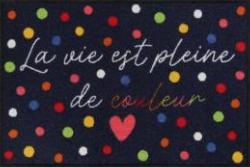 EFIA Salonloewe  TAPIS-PAILLASSON : VIE COLOREE